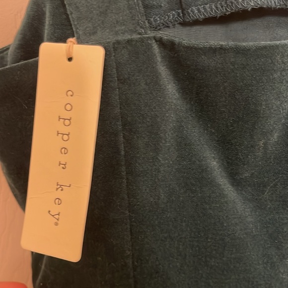 Copper Key New Green Velvet Mini Sheath Dress - Picture 2 of 10